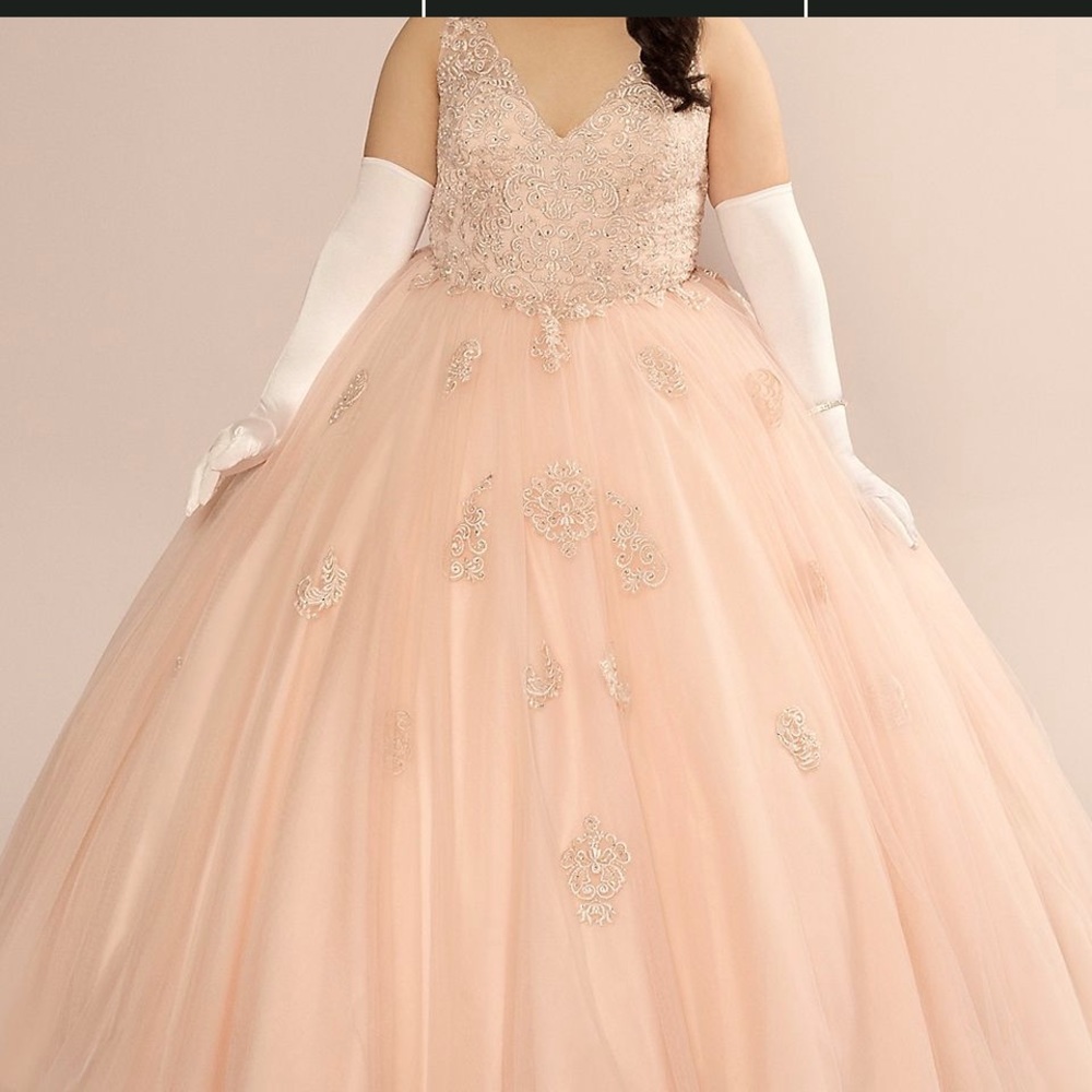QUINCEAÑERA DRESS plus CRINOLINE